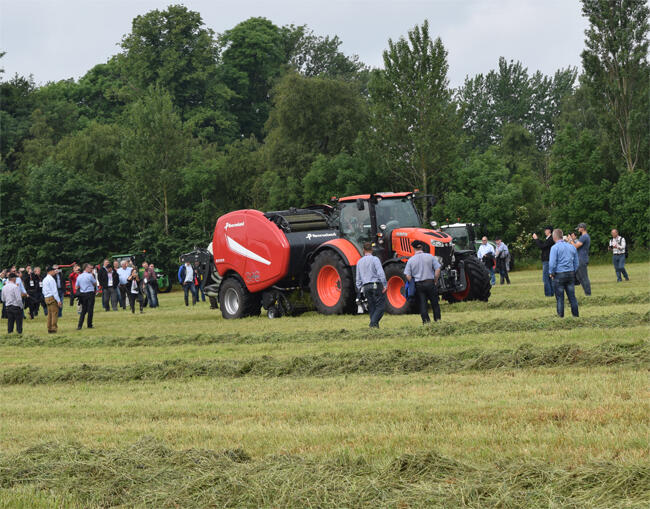 Grass-F-day-303-650