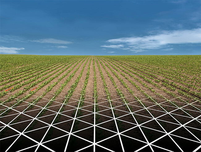 GEOSEED
