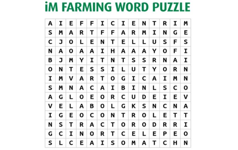 iM puzzle image